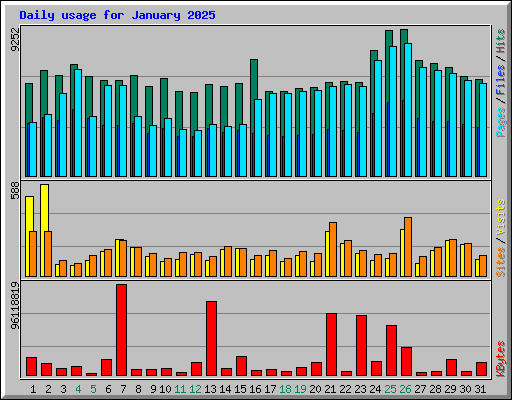 Daily usage for January 2025