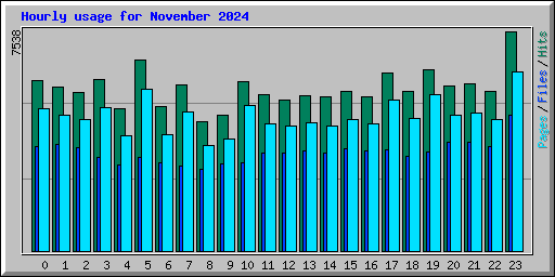 Hourly usage for November 2024