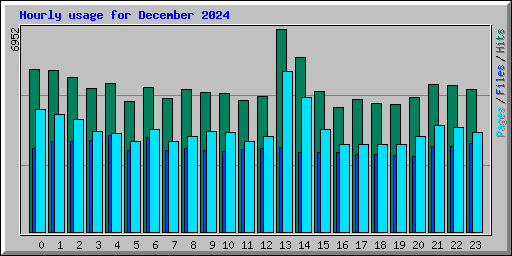 Hourly usage for December 2024