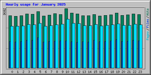 Hourly usage for January 2025