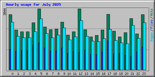 Hourly usage for July 2025