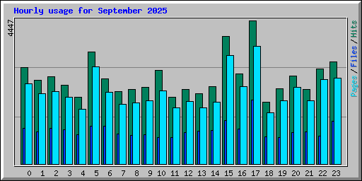 Hourly usage for September 2025