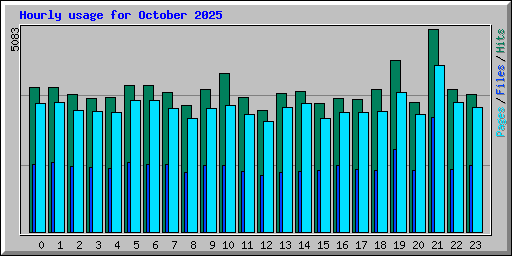 Hourly usage for October 2025