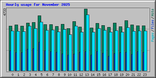 Hourly usage for November 2025