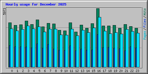 Hourly usage for December 2025