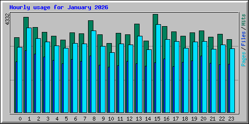 Hourly usage for January 2026