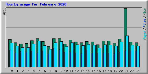 Hourly usage for February 2026