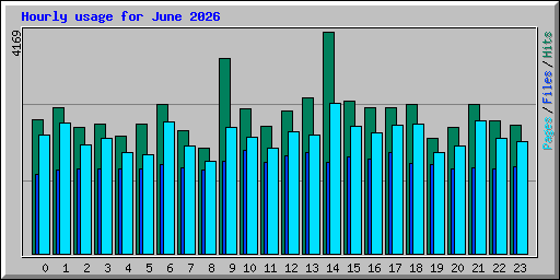 Hourly usage for June 2026